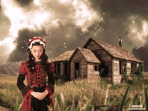 鄉村維納斯效應