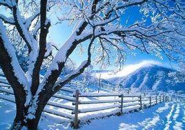 對雪[唐代高駢詩作]