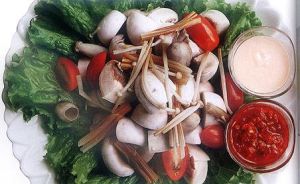 芥末北風菌 芥末北風菌