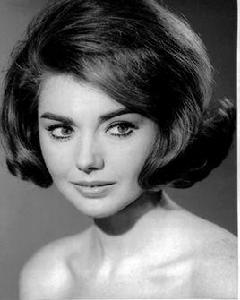 西娃·科絲西娜 西娃·科絲西娜