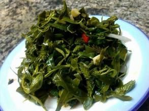 涼拌柳樹芽 涼拌柳樹芽