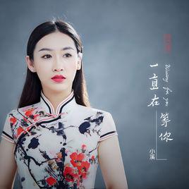 一直在等你[張溪演唱歌曲]