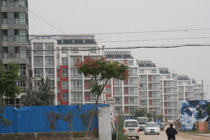 橋東區[河北省邢台市]