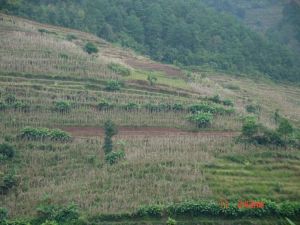 蠻蚌田村 蠻蚌田村