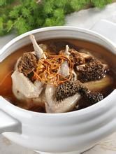 冬蟲夏草燉黃雀 冬蟲夏草燉黃雀