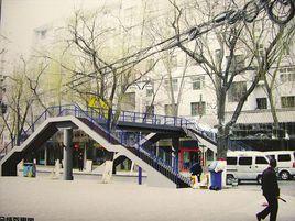 西寧市十九中學 西寧市十九中學