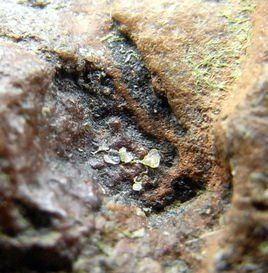 高能物理 高能物理