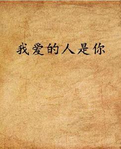 我愛的人是你