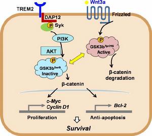 區組因子 區組因子