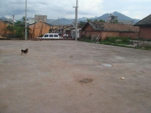 菜社自然村 菜社自然村