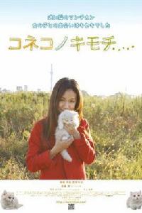 小貓的感覺 小貓的感覺