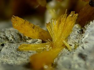 斜磷鉛鈾礦 斜磷鉛鈾礦