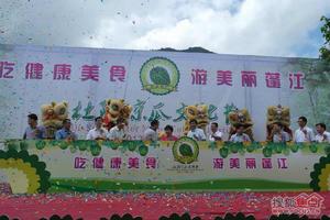 杜阮涼瓜節 杜阮涼瓜節