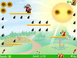 松鼠吃栗子 松鼠吃栗子