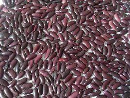深紅芸豆 深紅芸豆