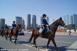 女騎警 女騎警