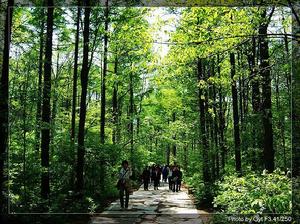 龍崗自然保護區