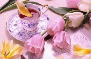 固始茶菱 固始茶菱