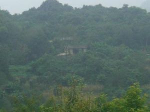 下邑打窩自然村 下邑打窩自然村