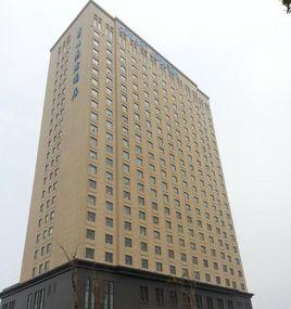 武漢豪生國際酒店 武漢豪生國際酒店