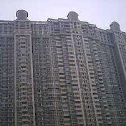 第一國際一期 第一國際一期