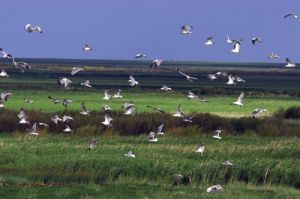 圖牧吉保護區 圖牧吉保護區
