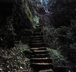 愛情天梯[劉國江老人為妻子手工鑿成的下山階梯]