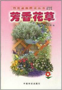 《芳香花草》