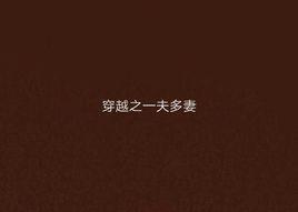 穿越之一妻多夫