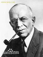 大雁歸來 大雁歸來