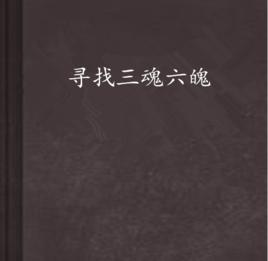 尋找三魂六魄 尋找三魂六魄