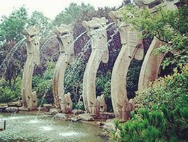 五龍社區[山東青島市嶗山區北宅街道下轄社區]