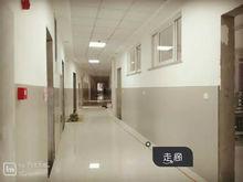 張店區實驗中學