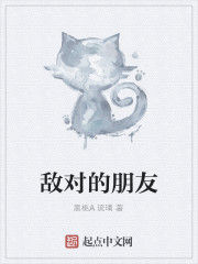 敵對的朋友 敵對的朋友