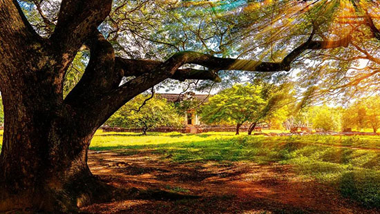 3k不到出國玩一圈,LP旅行清單第1名,是時候去pick了