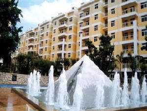 銀海森林 銀海森林