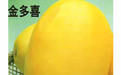 金多喜高級甜瓜 金多喜高級甜瓜