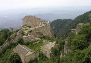 大茂山原始森林