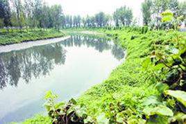 運糧河[河南省平頂山市運糧河]