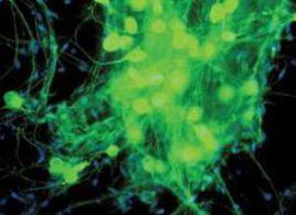 三位一體綜合療法 三位一體綜合療法