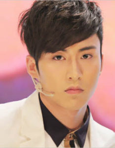 王子傑[內地男歌手、演員]