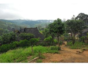 南盆老寨村 南盆老寨村