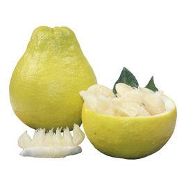 江永香柚 江永香柚