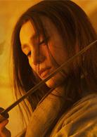 龍門飛甲[2011年徐克、張之亮執導電影]