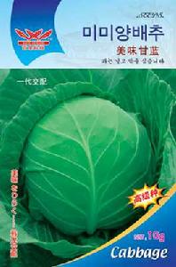 美味甘藍 美味甘藍