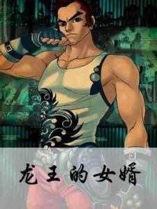 龍王的女婿 龍王的女婿