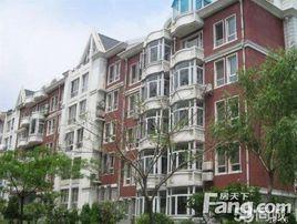 金海村[雲南大關縣翠花鎮下轄村]