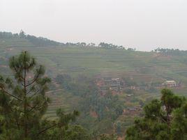 羊必林村 羊必林村