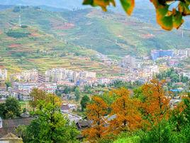 樂民鎮[貴州省盤州市下轄鎮]