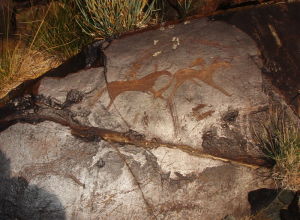 新疆岩畫 新疆岩畫